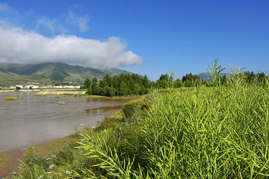 洮河风光