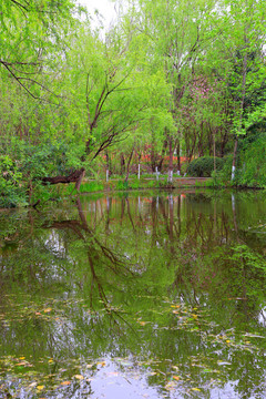 广元南河湿地公园