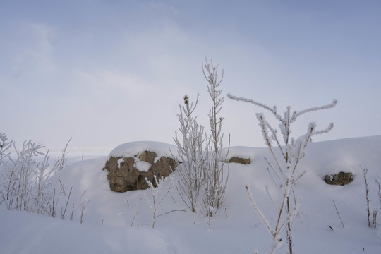 雪景