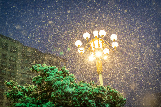 城市下雪路灯雪景