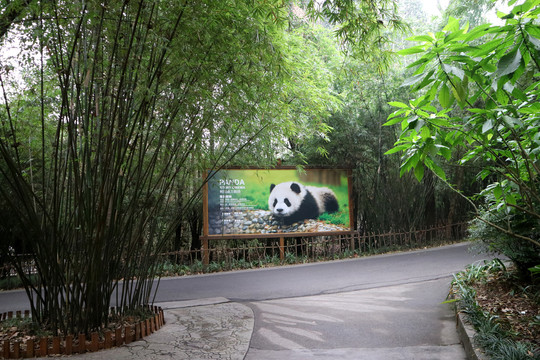 成都大熊猫繁殖基地