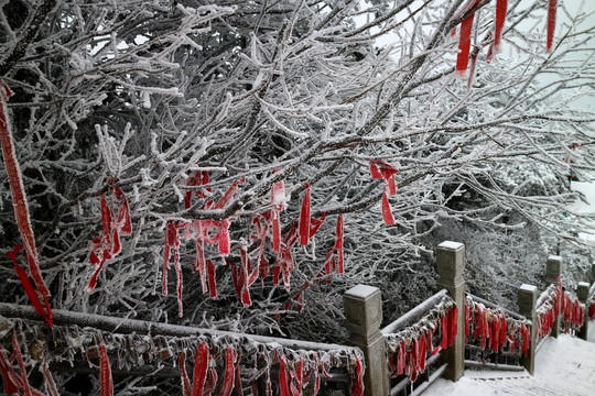 峨眉山冰雪