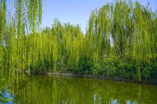 河道景观城市河流绿化