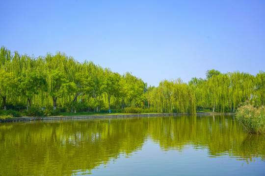 天津河道景观