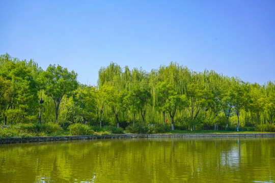 天津河道景观