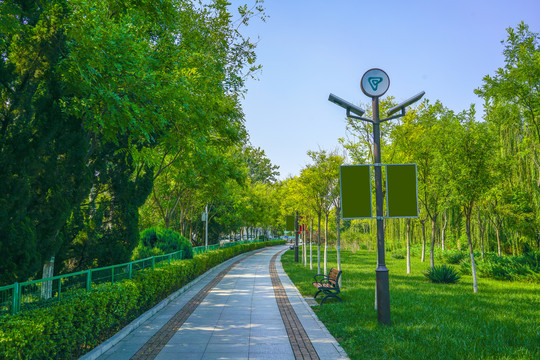 园林步道小路林荫小路