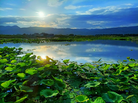 会泽湿地公园