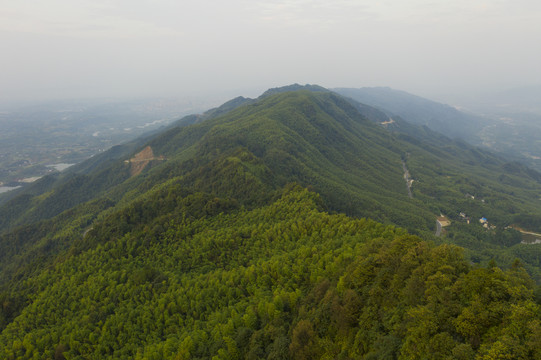 茶山竹海