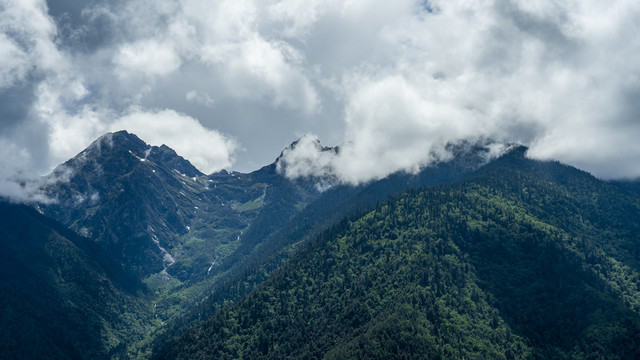 白马雪山