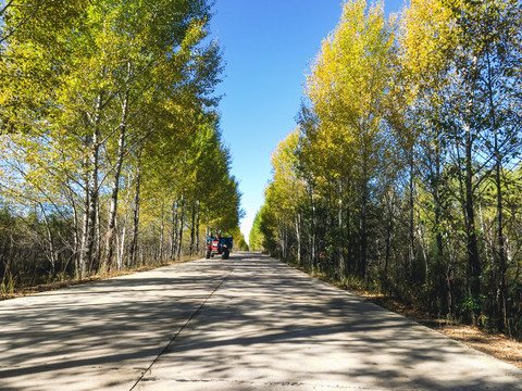 乡村公路拖拉机秋季树林