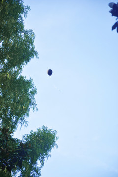 空中黑色气球