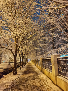 雪后便道