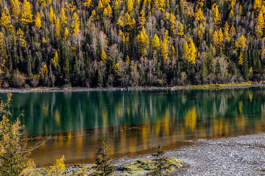 新疆喀纳斯湖秋景