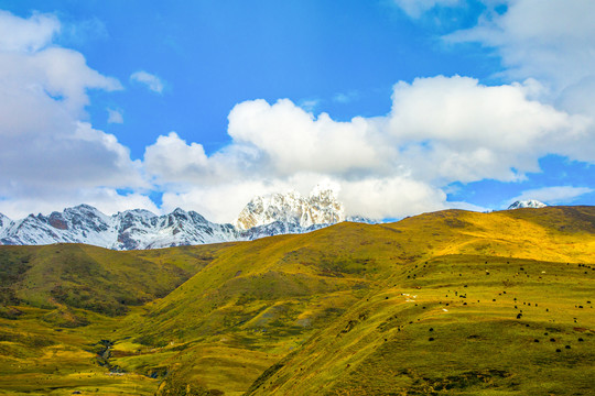 雅拉雪山