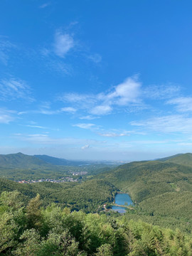 竹宜兴竹海山顶风景