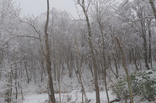 下雪啦