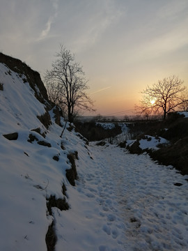 雪景