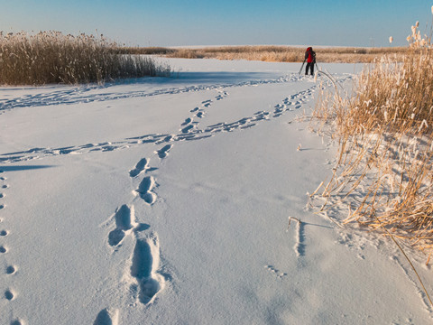 冬季湿地雪地脚印摄影人