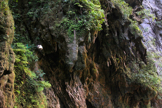 荔波大七孔景区