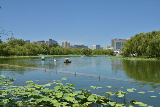 北京朝阳公园