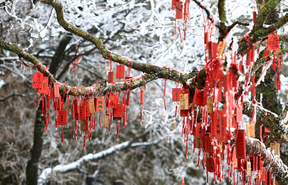 连心锁
