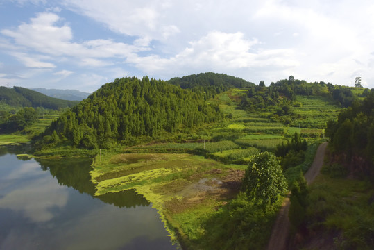 滨水山林