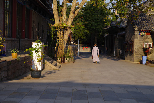 青岛湛山寺古建筑群