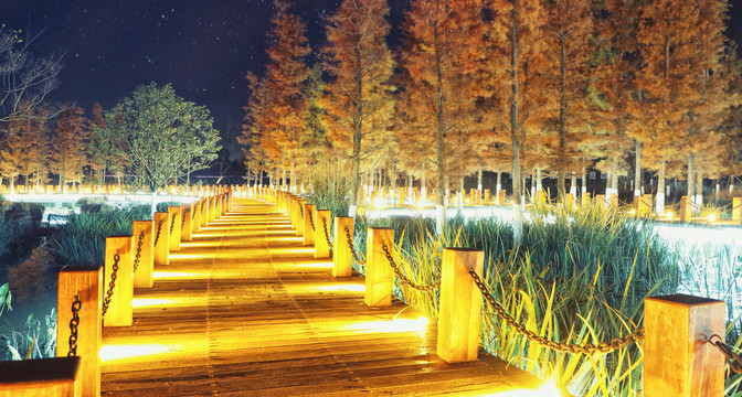 云南泸西湿地公园夜景
