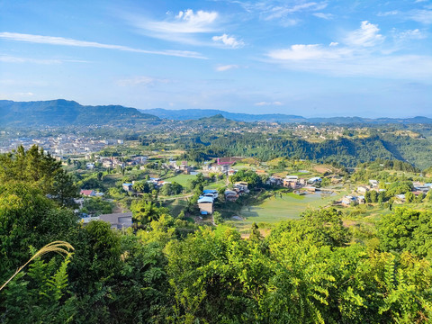 田园田野