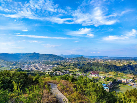 田园田野