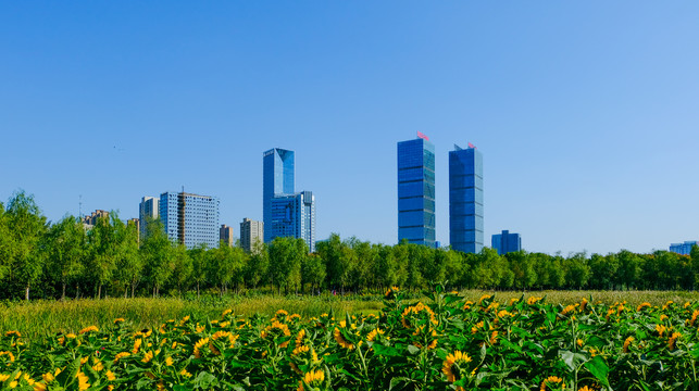 城市风景