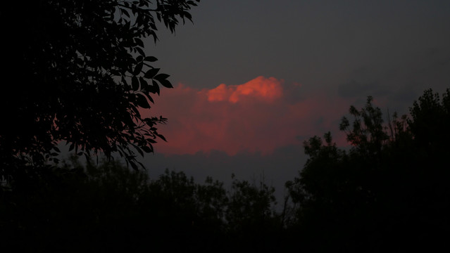 傍晚的云