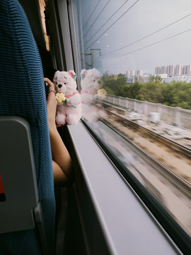 高铁上的两只小熊