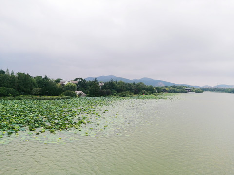 荷塘湖面风景