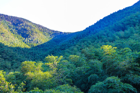 江苏南山竹海