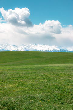 新疆喀拉峻大草原