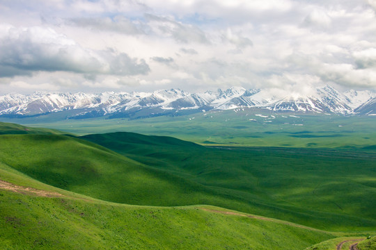 新疆伊犁那拉提大草原风光