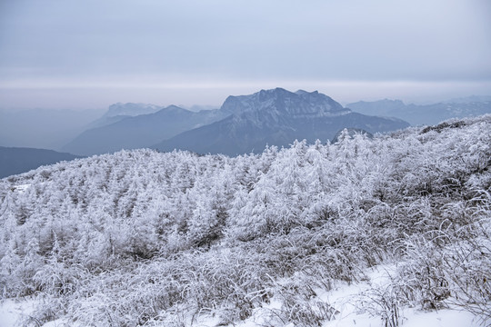 雪景