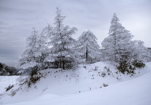 雪景