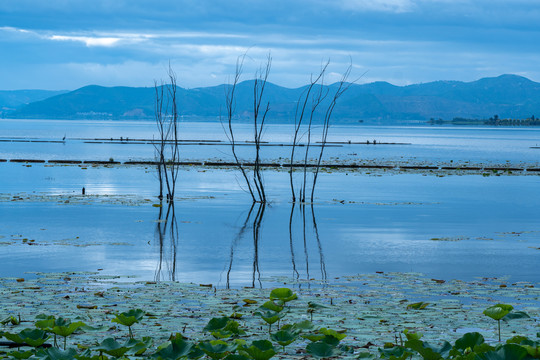 石屏异龙湖风光