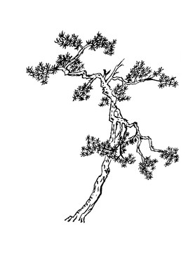 手绘国画植物树木素材