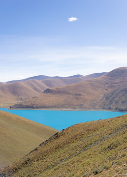 西藏羊卓雍措羊湖草原风景摄影