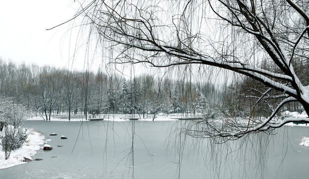 雪景