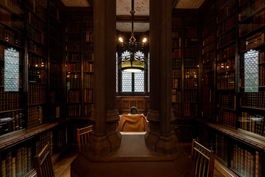 古典图书馆的读书人