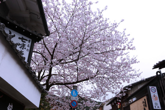 清水寺