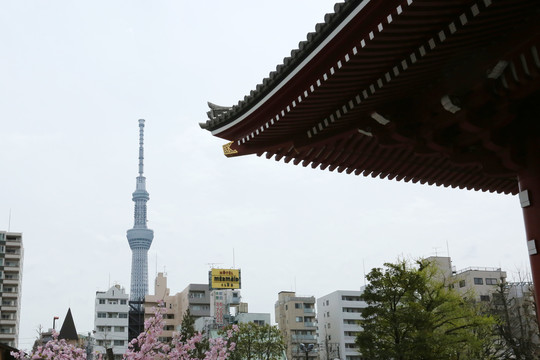 东京晴空塔