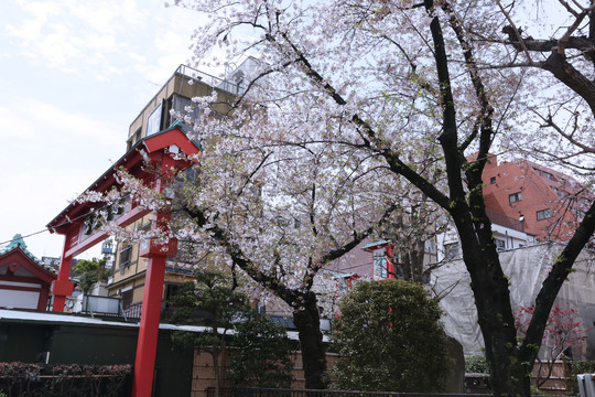 浅草寺