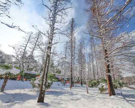 合肥包公园雪景