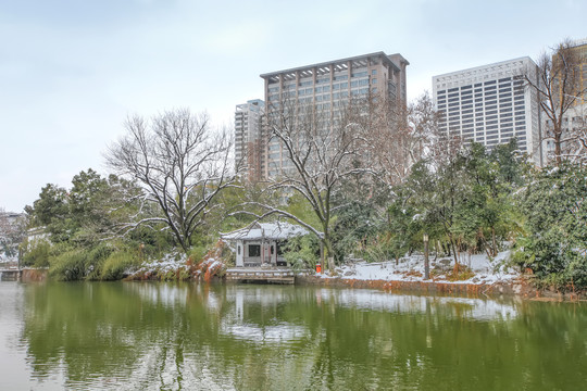 合肥包公园雪景