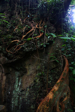 黄果树景区